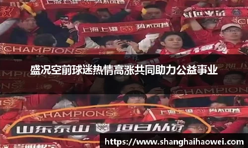 中欧体育