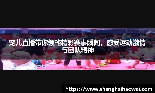 中欧体育