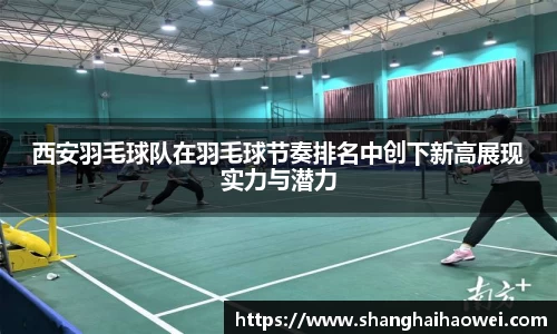 中欧体育