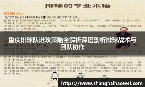 zoty中欧官方网站