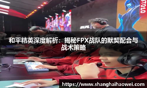 zoty中欧官网