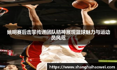 中欧体育