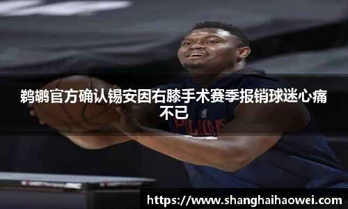 zoty中欧