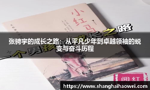 中欧体育