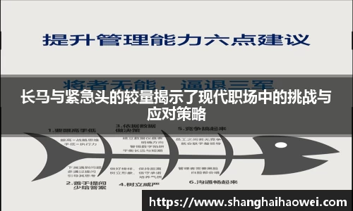 zoty中欧官方网站