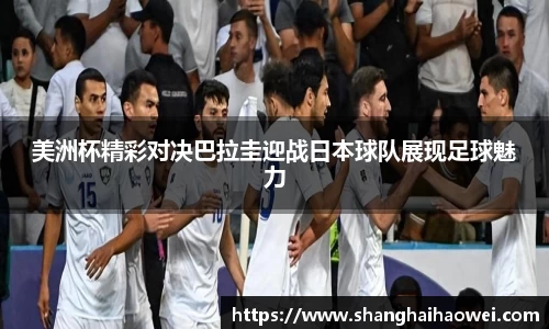 中欧体育