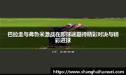 zoty中欧