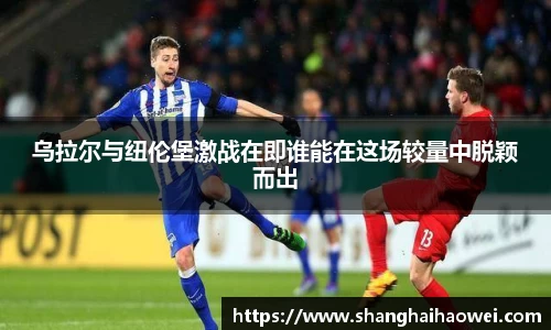 zoty中欧官网