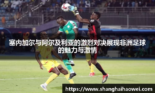 中欧体育