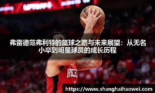 zoty中欧