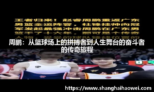 中欧体育