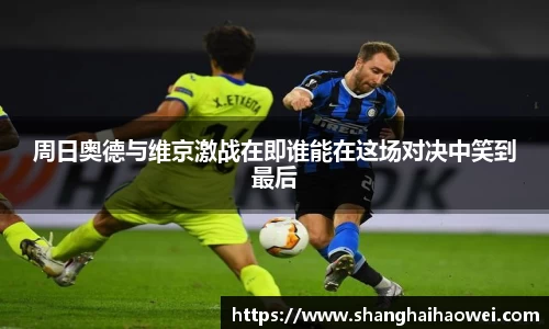 中欧体育